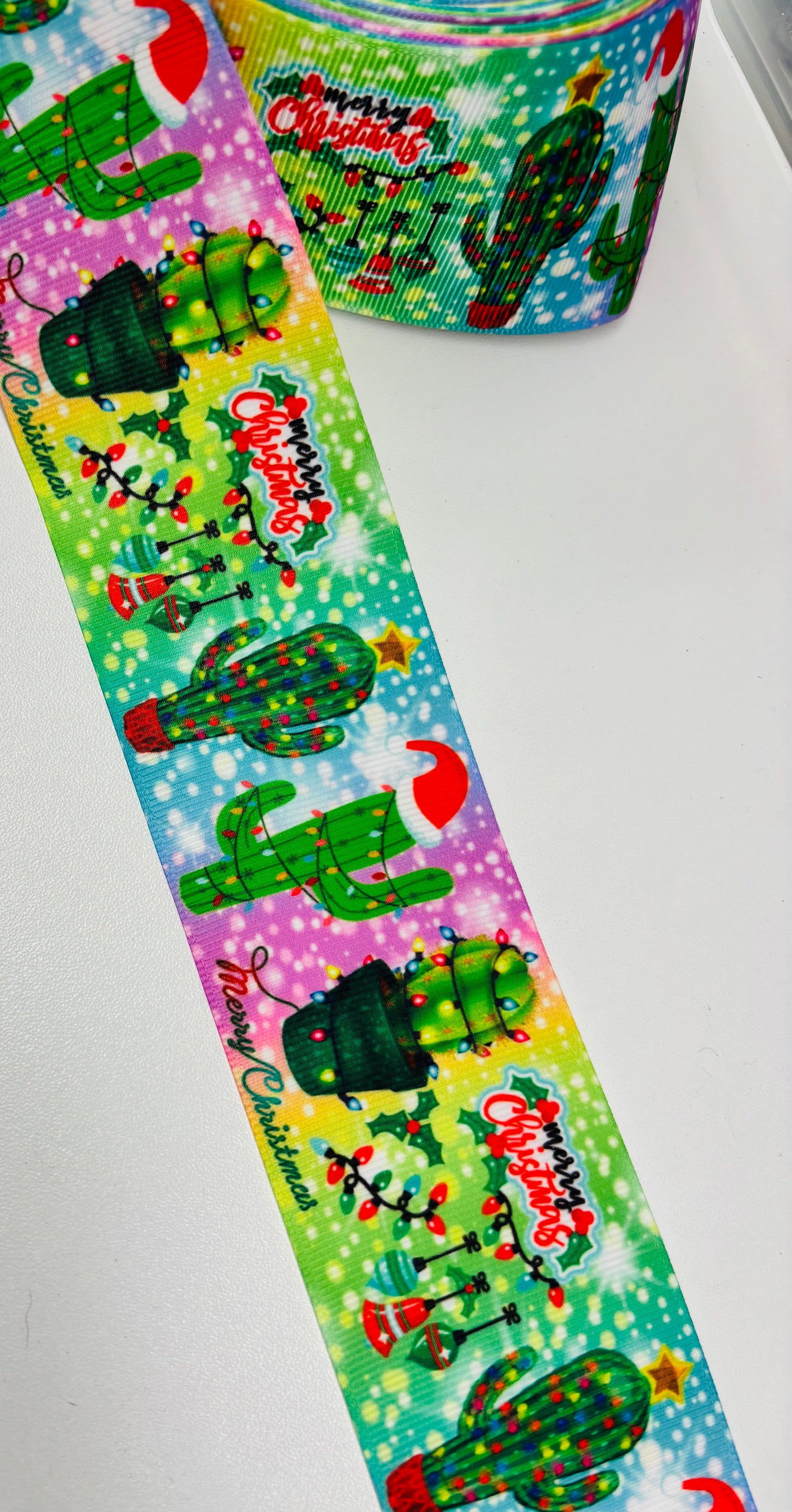 2 inch HOLIDAY CHRISTMAS CACTUS