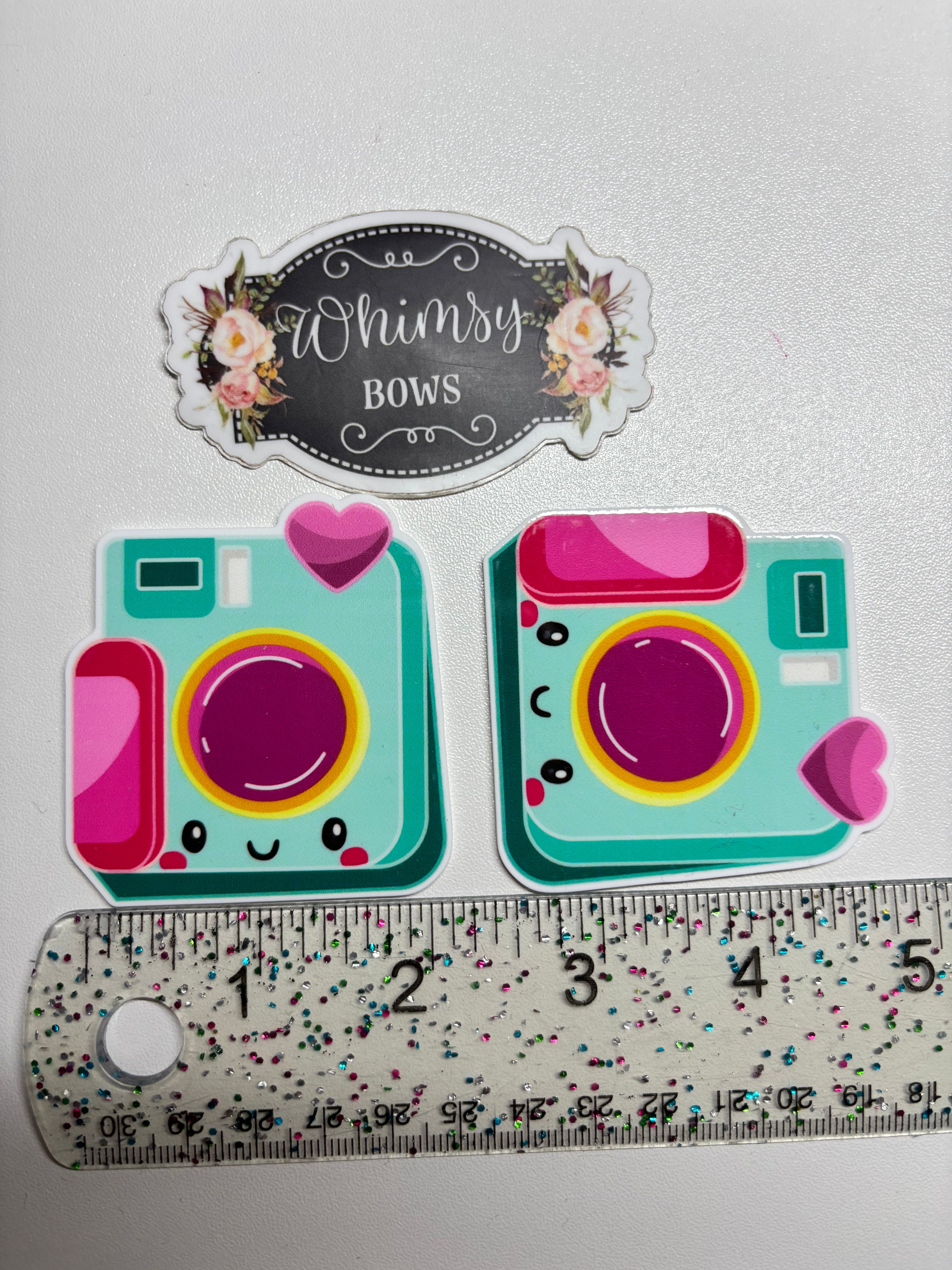 Camera Print Ribbon CAMERA LARGE RESIN – Whimsy Ribbons and Bows